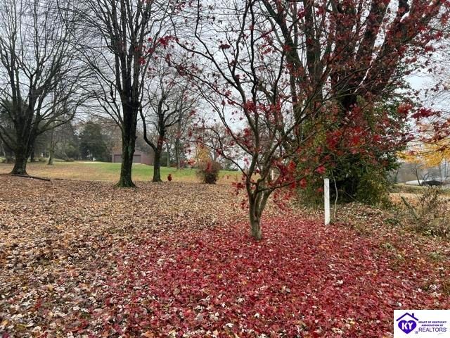 9840 Leitchfield Road, Cecilia, KY 42724