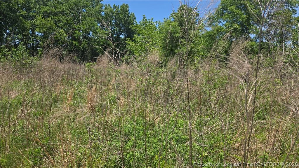 1634 Sweetie Road, Fayetteville, NC 28312 — photo 10