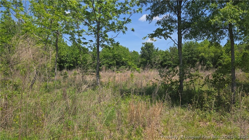 1634 Sweetie Road, Fayetteville, NC 28312 — photo 12