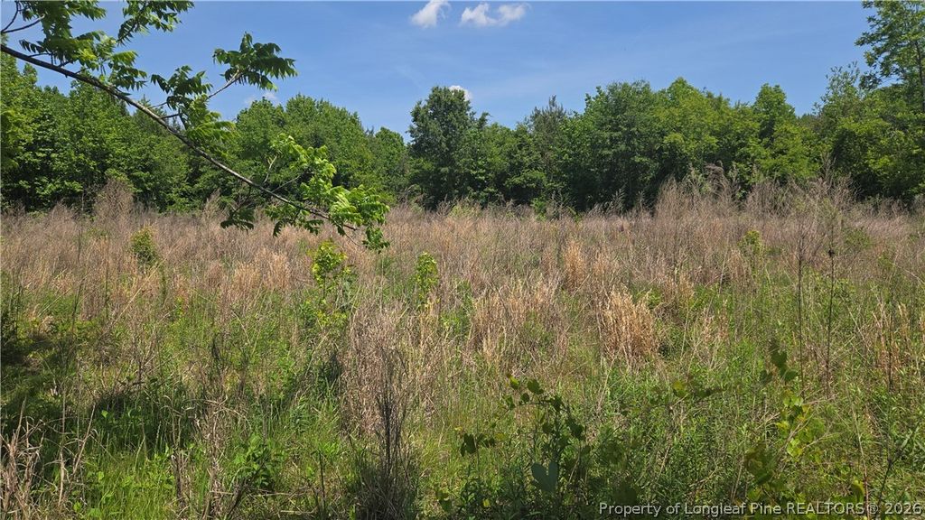 1634 Sweetie Road, Fayetteville, NC 28312 — photo 13