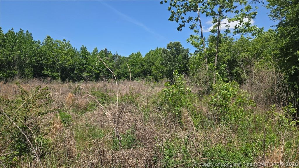 1634 Sweetie Road, Fayetteville, NC 28312 — photo 17