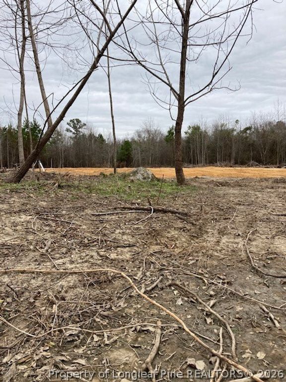 1634 Sweetie Road, Fayetteville, NC 28312 — photo 18
