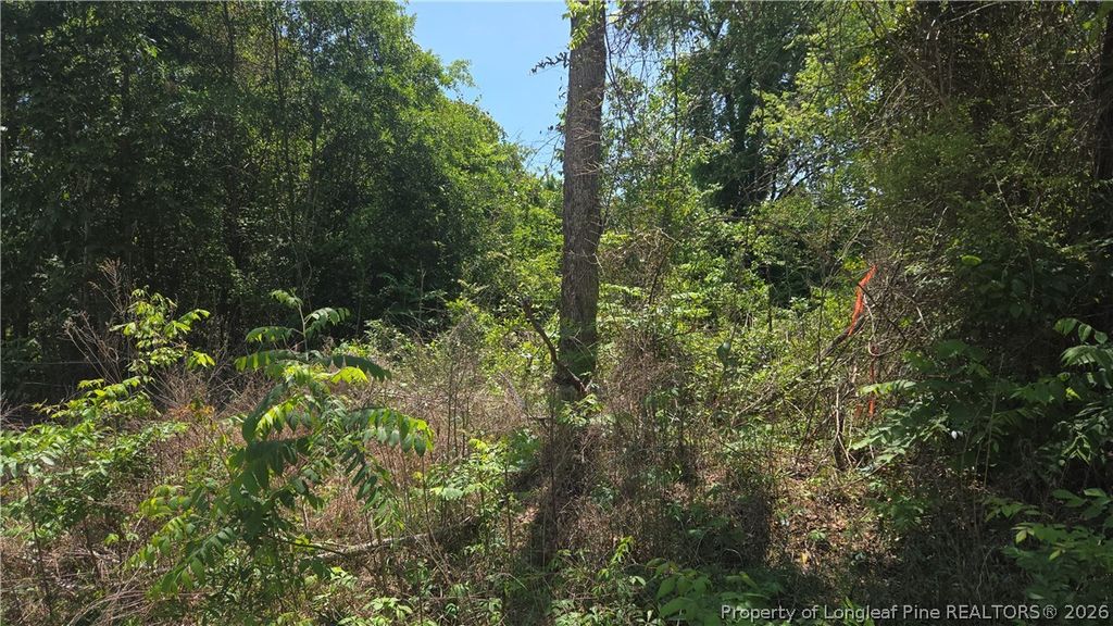 1634 Sweetie Road, Fayetteville, NC 28312 — photo 4