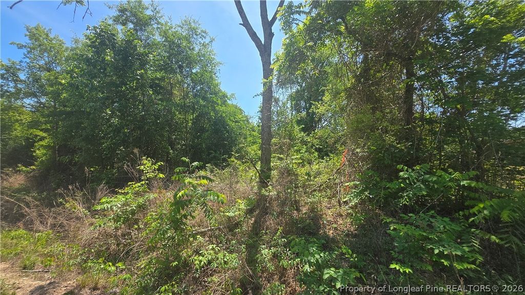 1634 Sweetie Road, Fayetteville, NC 28312 — photo 5