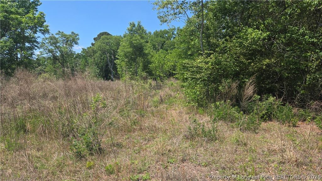 1634 Sweetie Road, Fayetteville, NC 28312 — photo 7