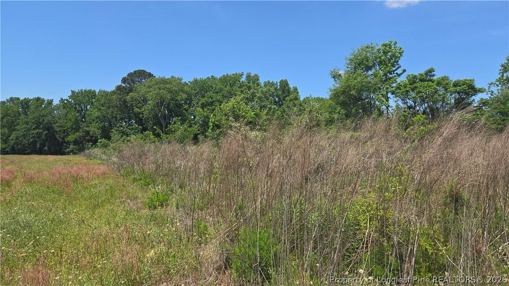 1634 Sweetie Road, Fayetteville, NC 28312 — photo 8
