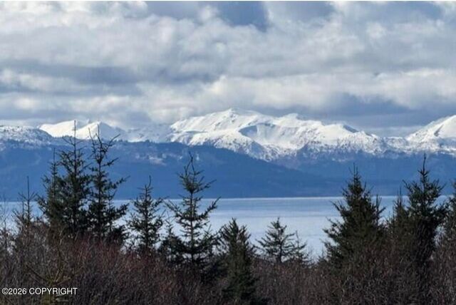 885 Soundview Avenue, Homer, AK 99603