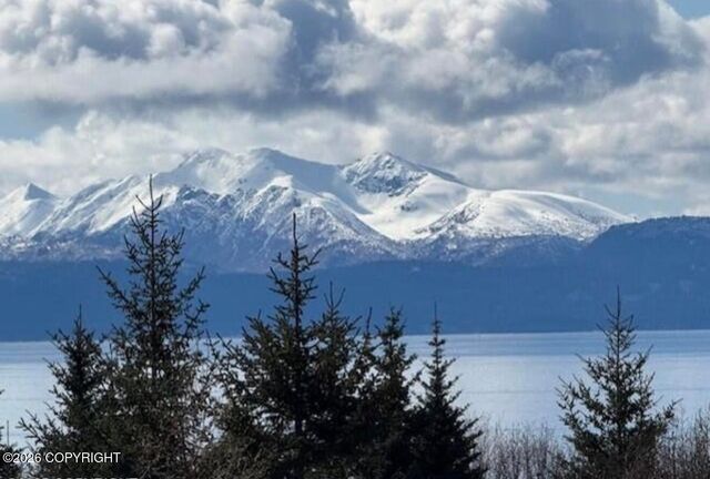 885 Soundview Avenue, Homer, AK 99603