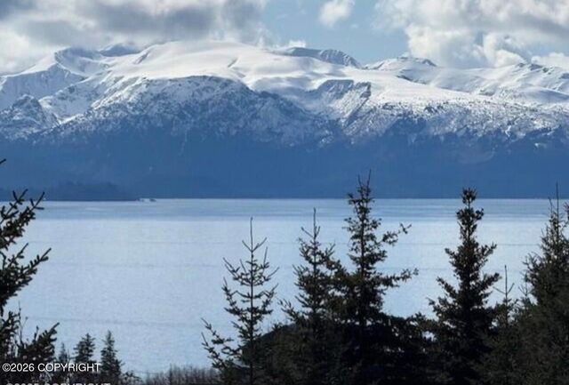 885 Soundview Avenue, Homer, AK 99603