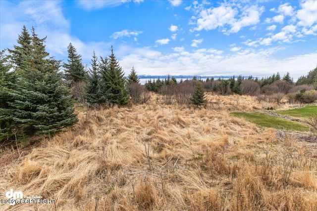 885 Soundview Avenue, Homer, AK 99603