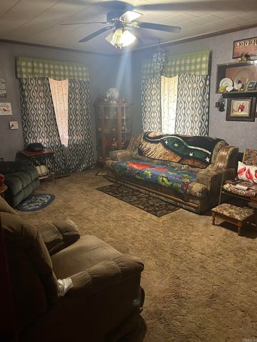 1344 Wallain Drive, Piggott, AR 72454