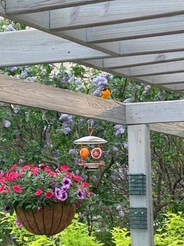 509 4th Avenue NE, Byron, MN 55920