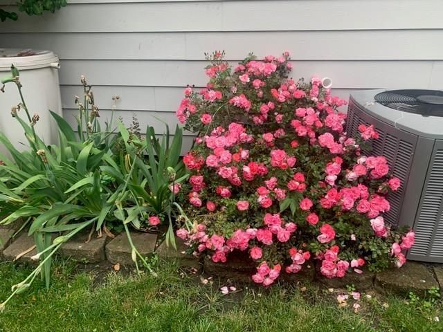 509 4th Avenue NE, Byron, MN 55920