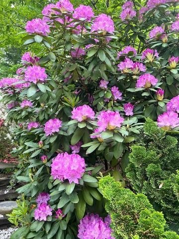 509 4th Avenue NE, Byron, MN 55920