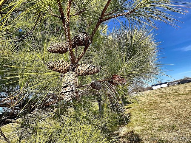 1998 W Allen Road, Tahlequah, OK 74464