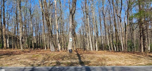 66 The Cliffs Parkway, Landrum, SC 29356