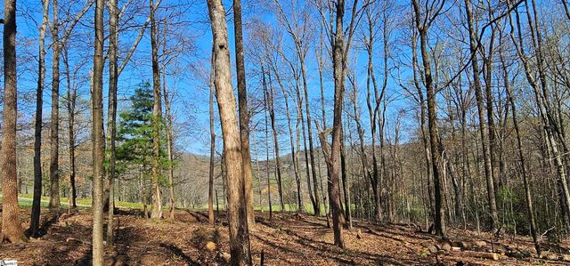 66 The Cliffs Parkway, Landrum, SC 29356