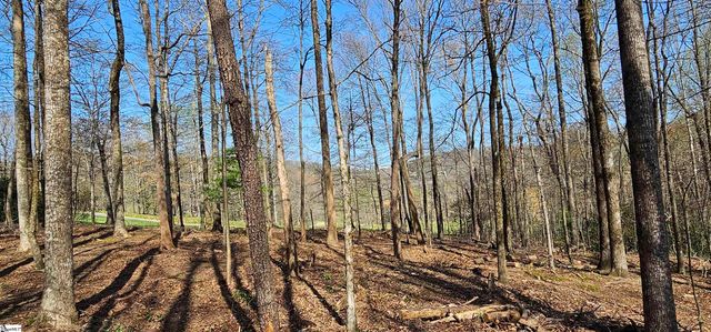 66 The Cliffs Parkway, Landrum, SC 29356