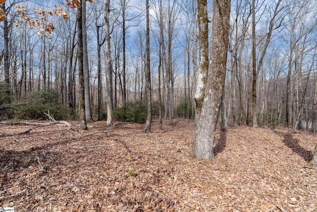 66 The Cliffs Parkway, Landrum, SC 29356