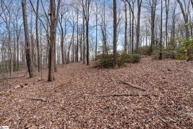 66 The Cliffs Parkway, Landrum, SC 29356