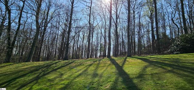 66 The Cliffs Parkway, Landrum, SC 29356