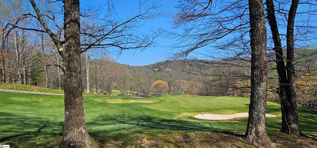 66 The Cliffs Parkway, Landrum, SC 29356