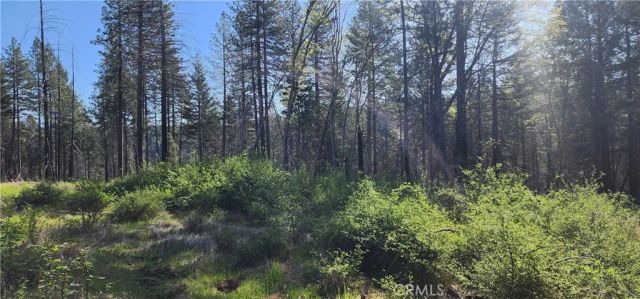 0 Goldcone, Magalia, CA 95954