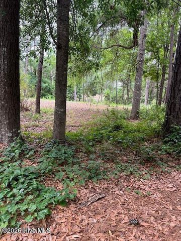 2933 Island Drive SE, Bolivia, NC 28422