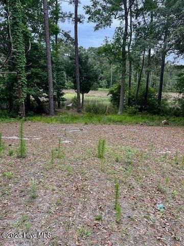 2933 Island Drive SE, Bolivia, NC 28422