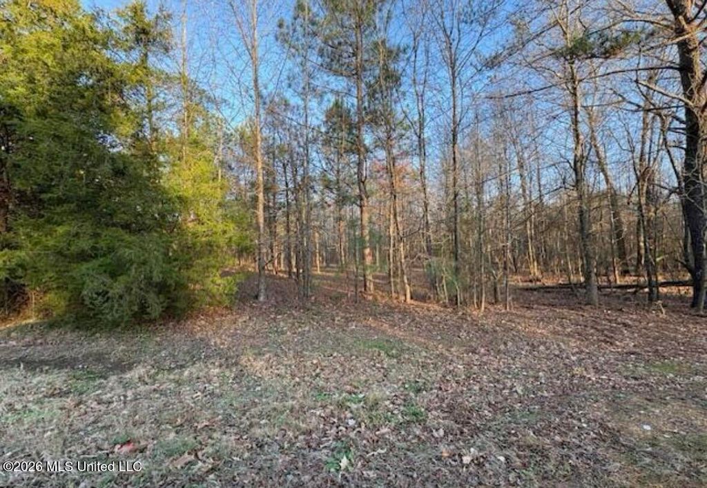 1397 Gravel Springs Road, Senatobia, MS 38668 — exterior