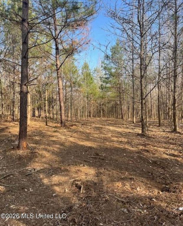 1397 Gravel Springs Road, Senatobia, MS 38668 — photo 2