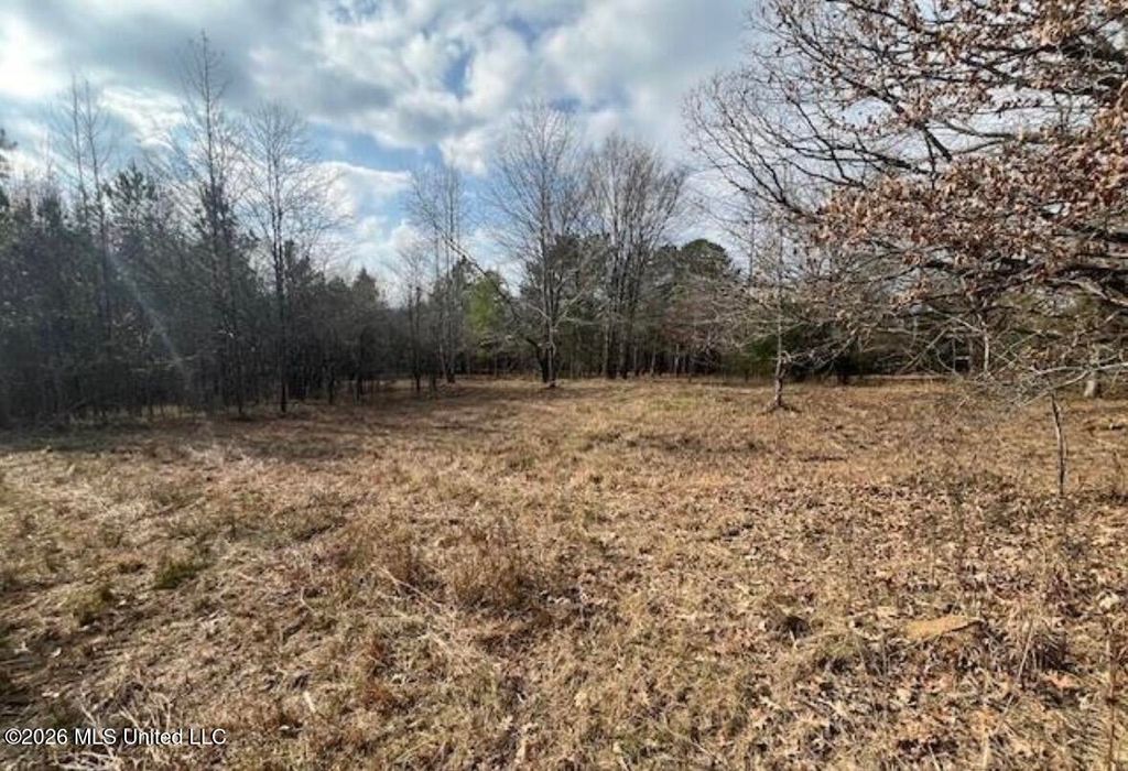 1397 Gravel Springs Road, Senatobia, MS 38668 — photo 3