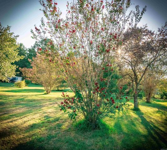 13993 Lorraine Drive, Alexander, AR 72002