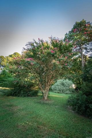 13993 Lorraine Drive, Alexander, AR 72002