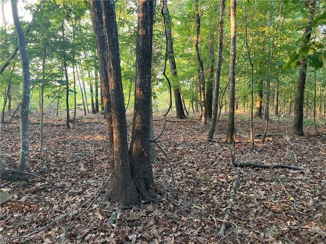 265 Fuller Mill N Road, Trinity, NC 27370