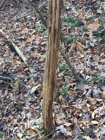 265 Fuller Mill N Road, Trinity, NC 27370