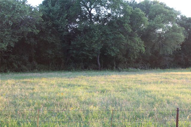 TBD County Road 204, Grandview, TX 76050