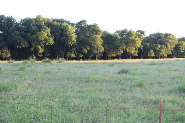 TBD County Road 204, Grandview, TX 76050