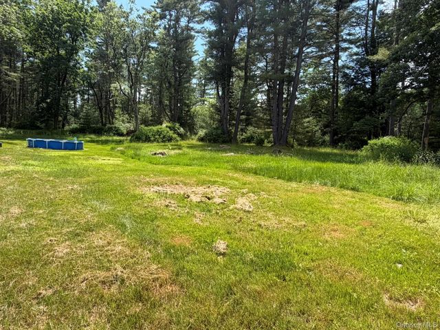 5 Steges Road, Eldred, NY 12743