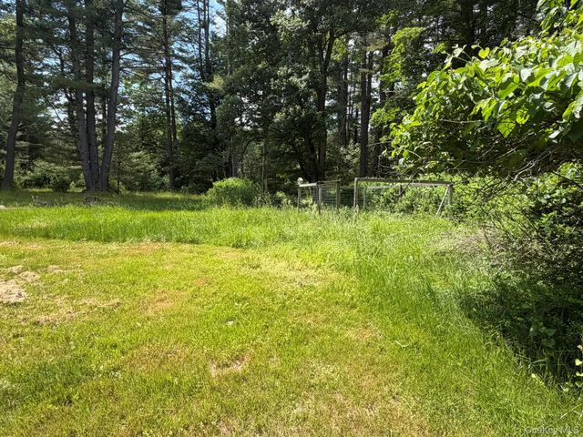 5 Steges Road, Eldred, NY 12743