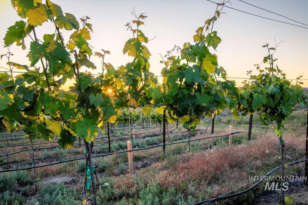 5446 N Highway 16, Eagle, ID 83616 photo 46