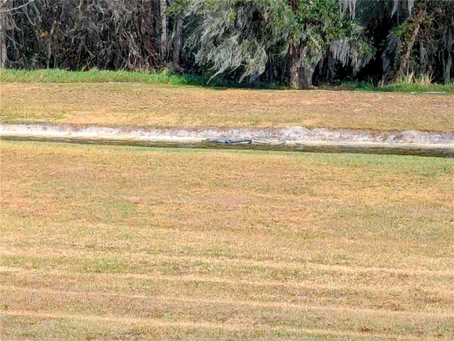 730 RIVER GRASS LANE, Winter Garden, FL 34787