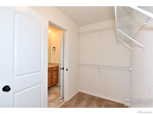 2393 Ivywood Lane, Johnstown, CO 80534