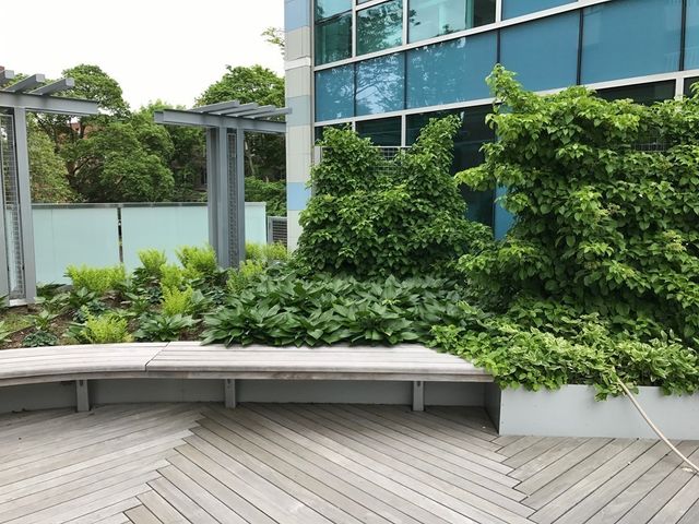 1075 Massachusetts Ave 503, Cambridge, MA 02138