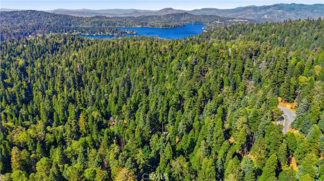 815 Cottage Grove, Lake Arrowhead, CA 92352