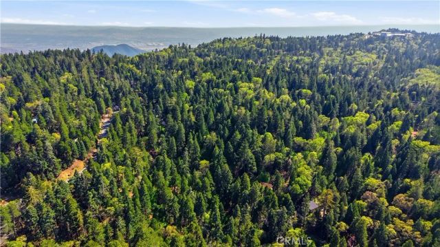 815 Cottage Grove, Lake Arrowhead, CA 92352