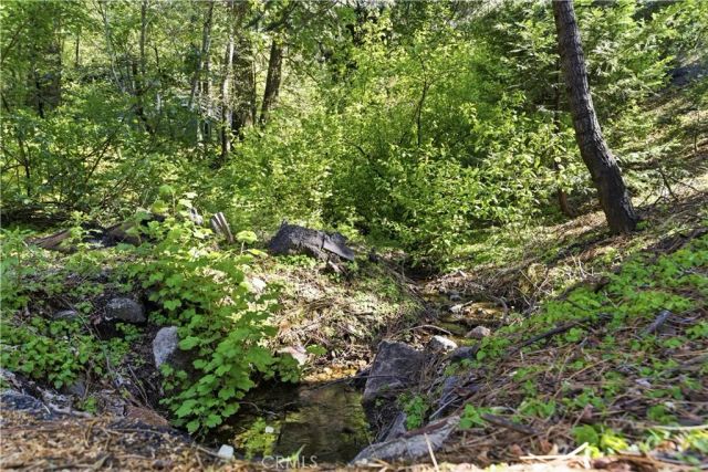 815 Cottage Grove, Lake Arrowhead, CA 92352