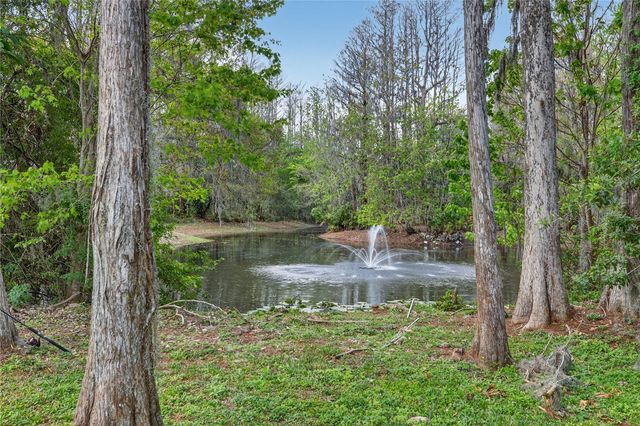 3663 BERGER ROAD, Lutz, FL 33548