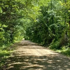 32 Acres County Road 2425, Como, TX 75431