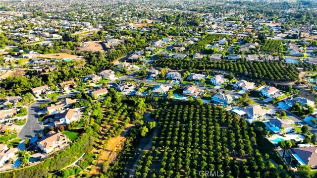 1125 Pamplona, Riverside, CA 92508